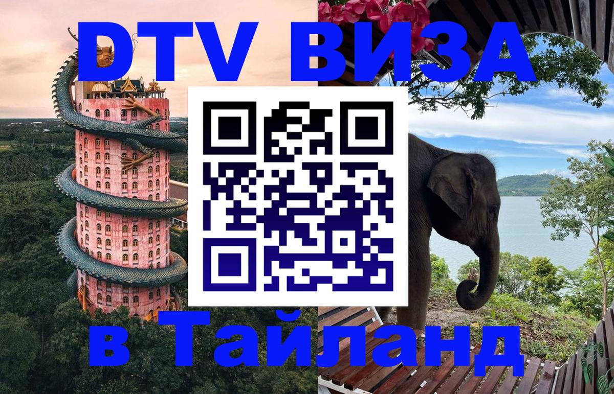 Оформление DTV визы под ключ: стоимость и тарифы, только загранпаспорт - 